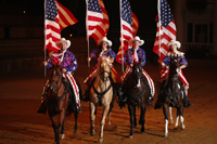 Dixie Stampede